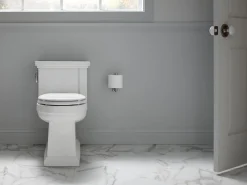 One-piece compact elongated toilet with skirted trapway, 1.28 gpf