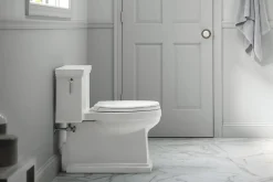 One-piece compact elongated toilet with skirted trapway, 1.28 gpf