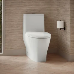One-piece compact elongated toilet with skirted trapway, dual-flush