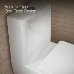 One-piece compact elongated toilet with skirted trapway, dual-flush