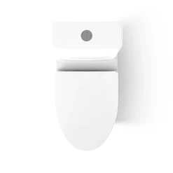 One-piece compact elongated toilet with skirted trapway, dual-flush