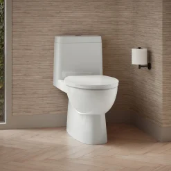 One-piece compact elongated toilet with skirted trapway, dual-flush