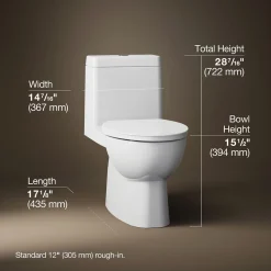 One-piece compact elongated toilet with skirted trapway, dual-flush