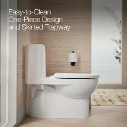 One-piece compact elongated toilet with skirted trapway, dual-flush