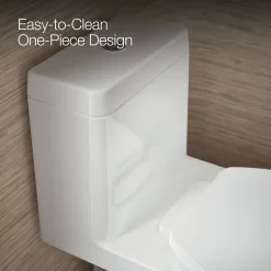 One-piece compact elongated toilet with skirted trapway, dual-flush