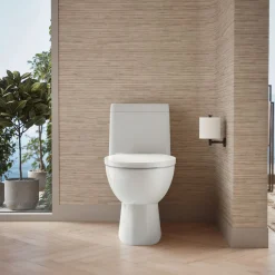 One-piece compact elongated toilet with skirted trapway, dual-flush