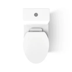 One-piece compact elongated toilet with skirted trapway, dual-flush
