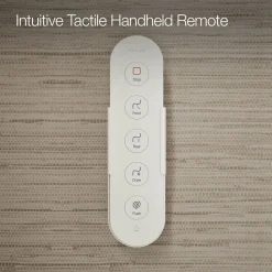 One-piece elongated smart toilet, dual-flush