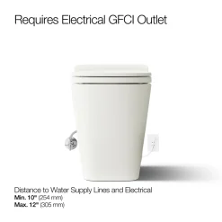 One-piece elongated smart toilet, dual-flush