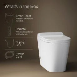 One-piece elongated smart toilet, dual-flush