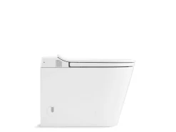One-piece elongated smart toilet, dual-flush