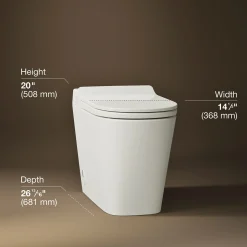 One-piece elongated smart toilet, dual-flush