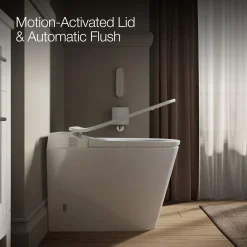 One-piece elongated smart toilet, dual-flush