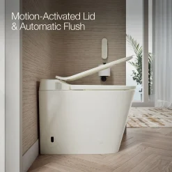 One-piece elongated smart toilet, dual-flush