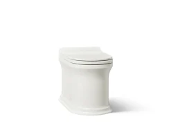 One-piece elongated smart toilet, dual-flush