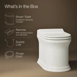 One-piece elongated smart toilet, dual-flush