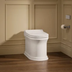 One-piece elongated smart toilet, dual-flush
