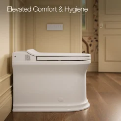 One-piece elongated smart toilet, dual-flush