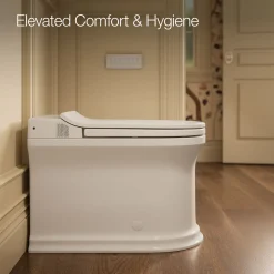 One-piece elongated smart toilet, dual-flush