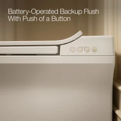 One-piece elongated smart toilet, dual-flush