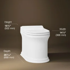 One-piece elongated smart toilet, dual-flush