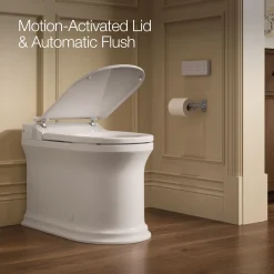 One-piece elongated smart toilet, dual-flush