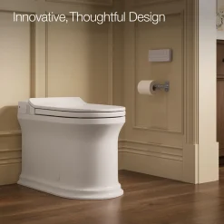 One-piece elongated smart toilet, dual-flush