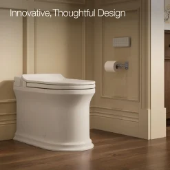One-piece elongated smart toilet, dual-flush