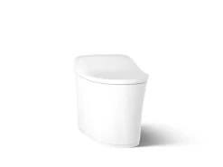One-piece elongated smart toilet, dual-flush