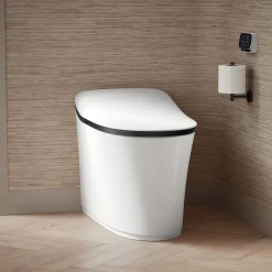 One-piece elongated smart toilet, dual-flush