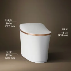 One-piece elongated smart toilet, dual-flush