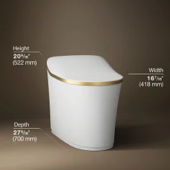 One-piece elongated smart toilet, dual-flush