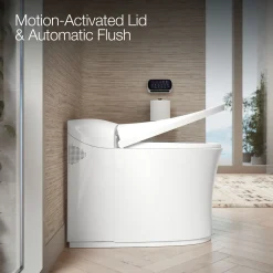 One-piece elongated smart toilet, dual-flush
