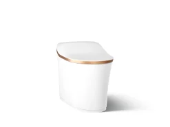 One-piece elongated smart toilet, dual-flush