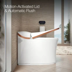 One-piece elongated smart toilet, dual-flush