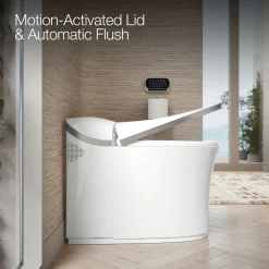 One-piece elongated smart toilet, dual-flush
