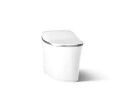One-piece elongated smart toilet, dual-flush