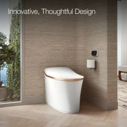One-piece elongated smart toilet, dual-flush