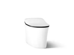 One-piece elongated smart toilet, dual-flush