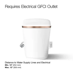 One-piece elongated smart toilet, dual-flush