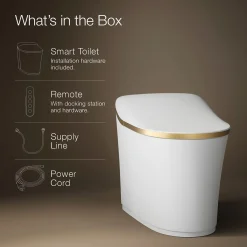 One-piece elongated smart toilet, dual-flush
