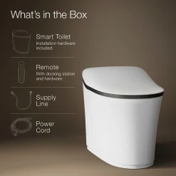 One-piece elongated smart toilet, dual-flush