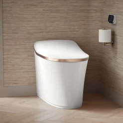 One-piece elongated smart toilet, dual-flush