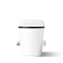 One-piece elongated smart toilet, dual-flush