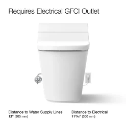 One-piece elongated smart toilet, dual-flush