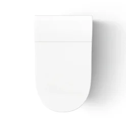 One-piece elongated smart toilet, dual-flush
