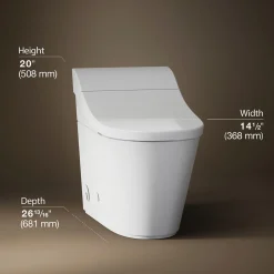 One-piece elongated smart toilet, dual-flush