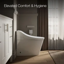 One-piece elongated smart toilet, dual-flush