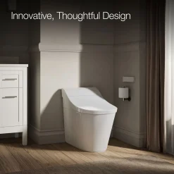 One-piece elongated smart toilet, dual-flush