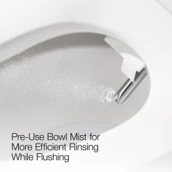 One-piece elongated smart toilet, dual-flush